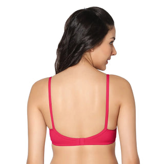 Non-Padded Full Coverage T-Shirt Bra Magenta Green color  (Pack of 2)