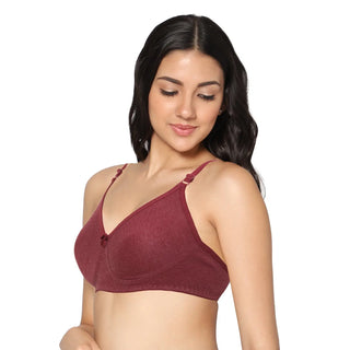 Soha Non-Padded Full Coverage T-Shirt Bra (Pack of 2) - Incare