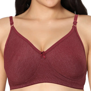 Soha Non-Padded Full Coverage T-Shirt Bra (Pack of 2) - Incare