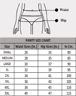 Darpan in Hipster Panties with Inner Elastic (Pack of 3)